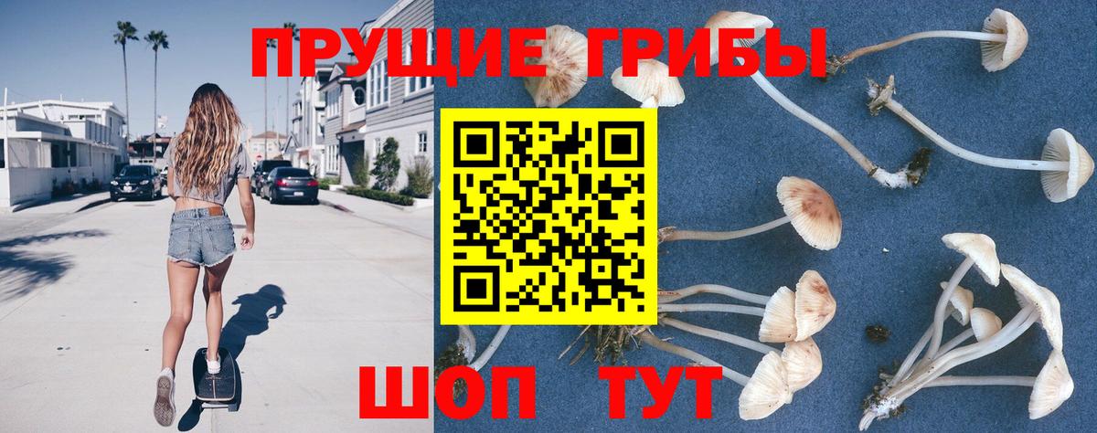 Псилоцибиновые грибы прущие грибы  Вход с VPN  Краснокамск 